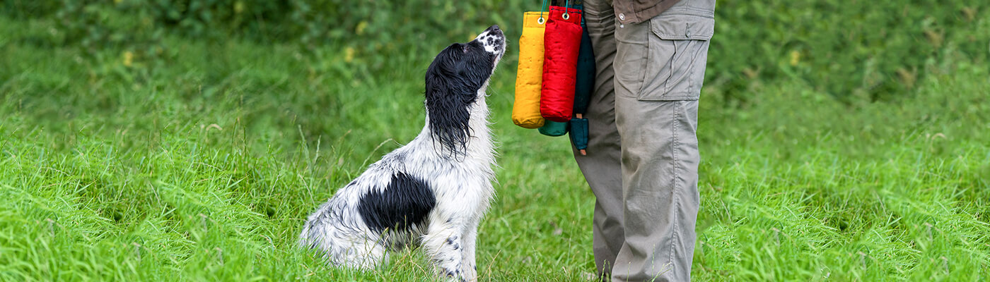 Dingo Trainingsgürtel für Beweglichkeitssport Hundetraining viele Taschen 