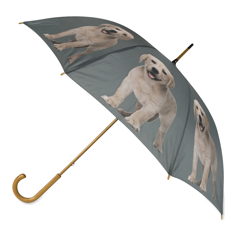 Regenschirm Gelber Labrador