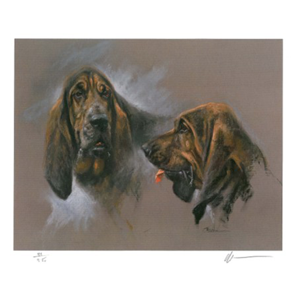 Bloodhounds - Druckbild von Mick Cawston