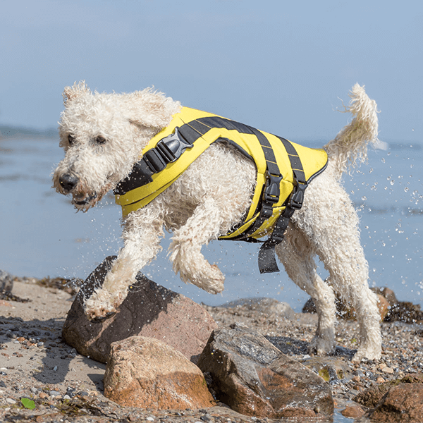Schwimmweste für Hunde, gelb