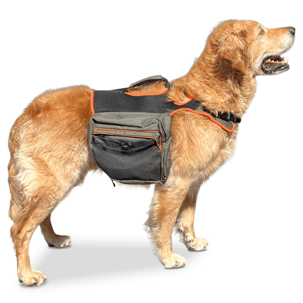 Hunderucksack Doggy Backpack