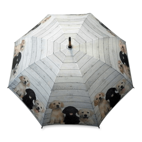 Regenschirm Labrador Welpen