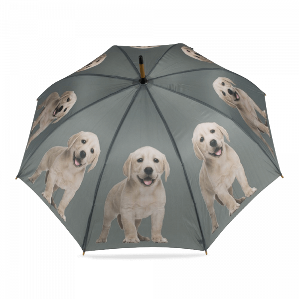 Regenschirm Gelber Labrador