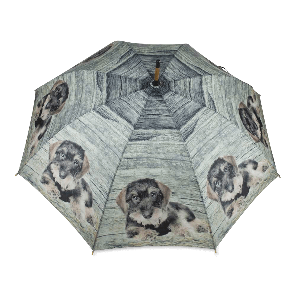 Regenschirm Dackel