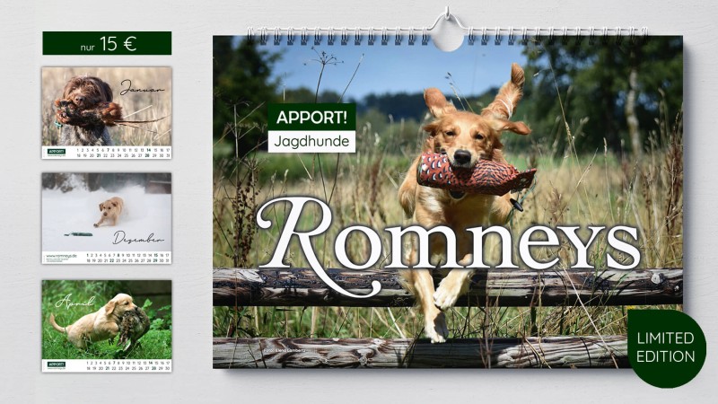 ROMNEYS Wand-Kalender 2024 "Apport!"
